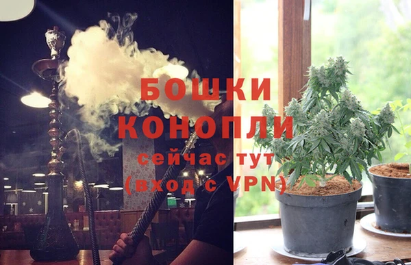 шишки Балахна