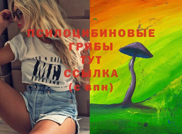ECSTASY Аркадак