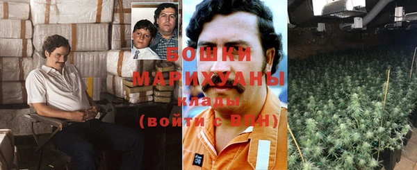 дживик Арсеньев