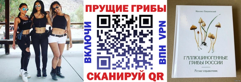 omg маркетплейс  Воткинск  Псилоцибиновые грибы MAGIC MUSHROOMS  цена наркотик 