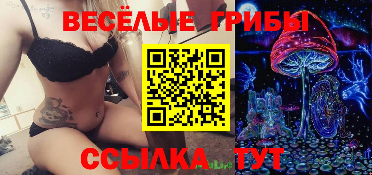 Псилоцибиновые грибы Cubensis Воткинск