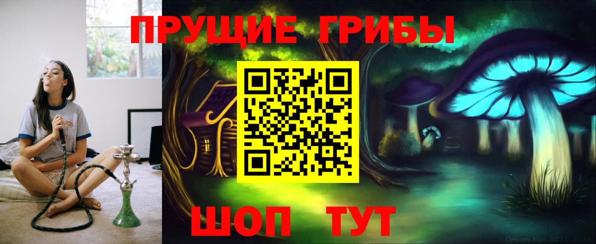Псилоцибиновые грибы Cubensis  Псилоцибиновые грибы прущие грибы  купить  цена  Вход с VPN  Воткинск 